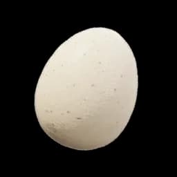 Egg icon