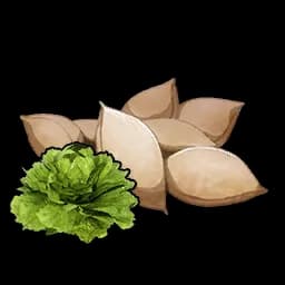 Lettuce Seeds icon