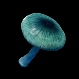 Mysterious Mushroom icon