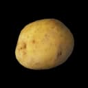 Potato icon