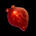 Precious Entrails icon