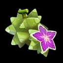 Starfruit ☆3 icon