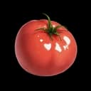 Tomato icon