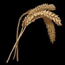 Wheat icon